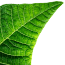 Plant Scheduler logo